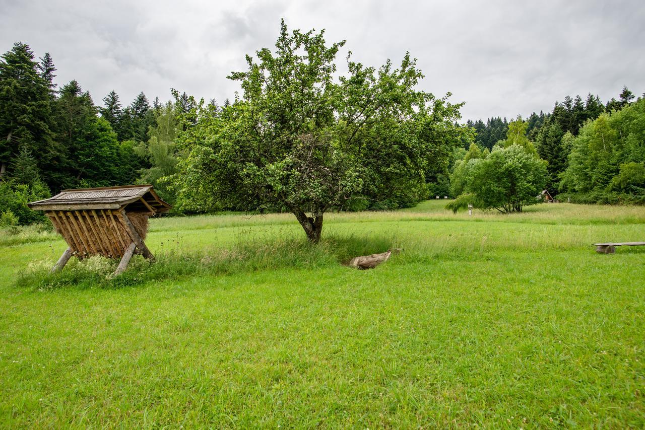 Gosciniec Pieciu Stawow Bed & Breakfast Ustrzyki Dolne Exterior photo