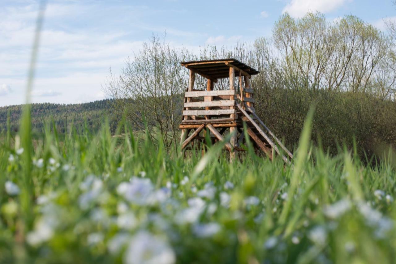 Gosciniec Pieciu Stawow Bed & Breakfast Ustrzyki Dolne Exterior photo